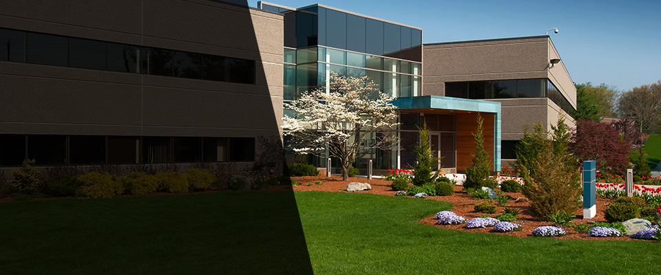 Friday Harbor Landscapers