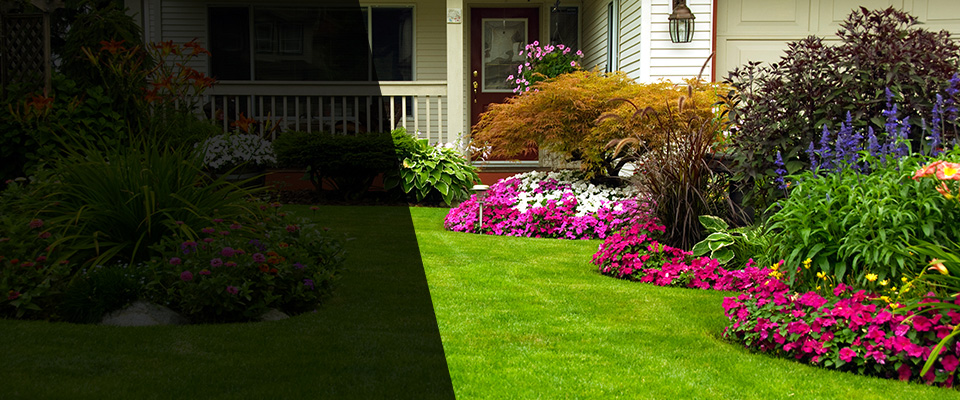 Friday Harbor Landscapers