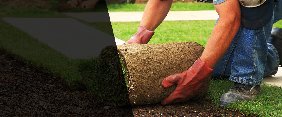 Friday Harbor Landscapers